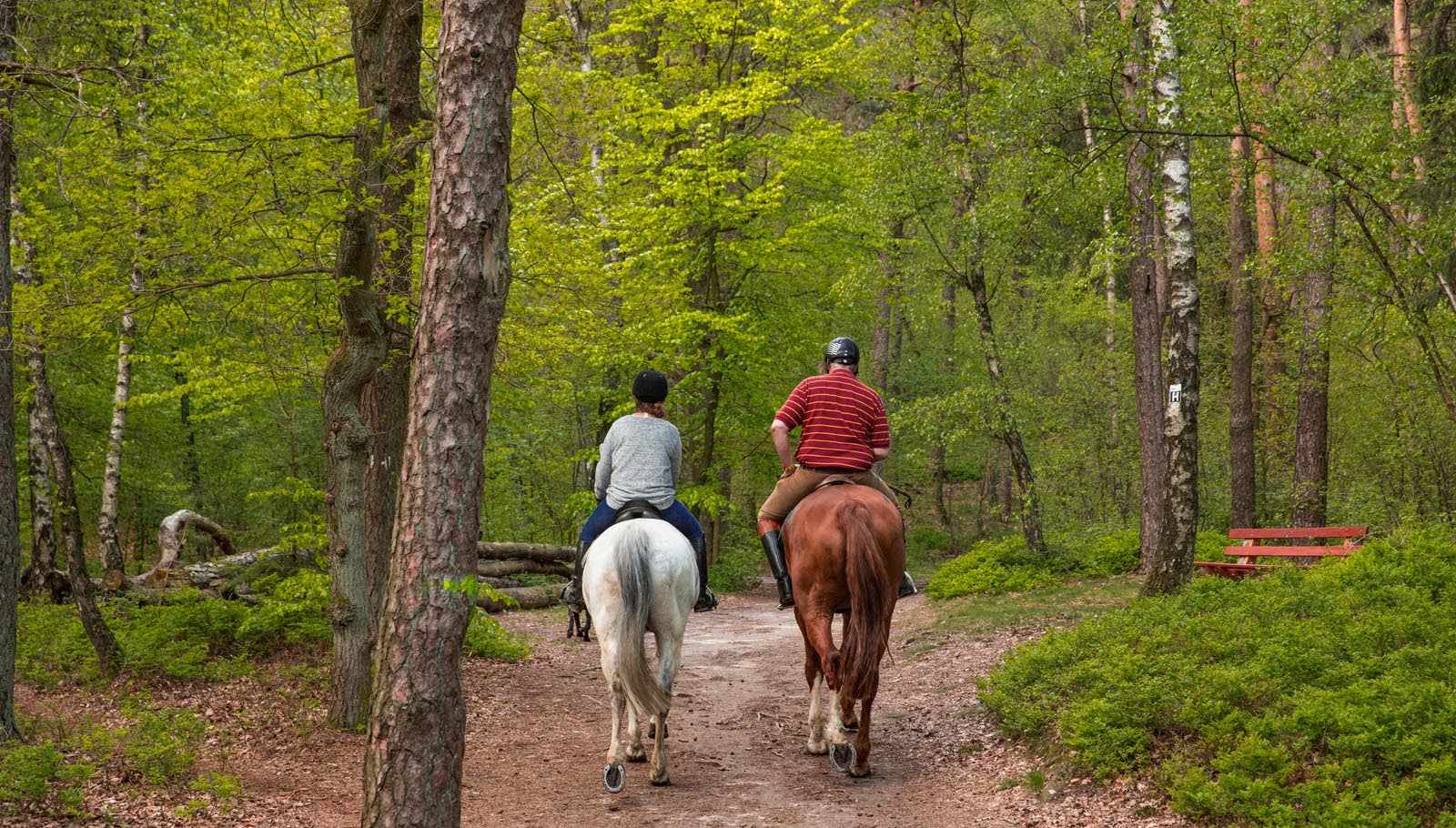 Dörenther Klippen / Tecklenburger Land / Teutoschleifen